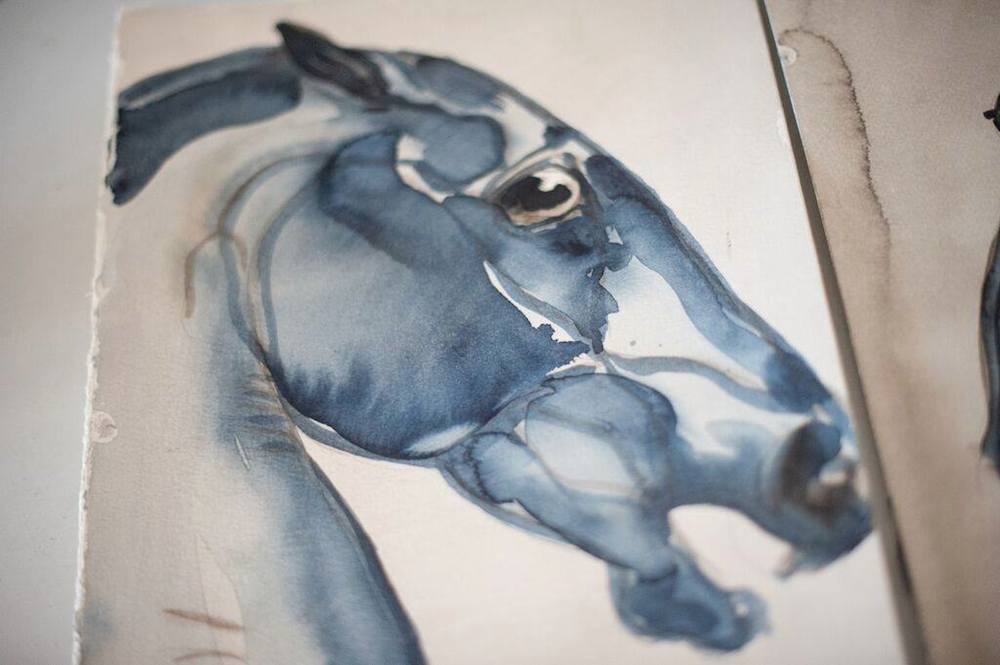 equine artwork